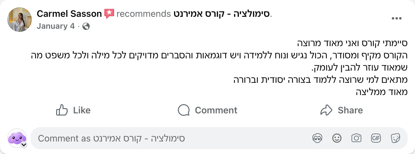 צילום מסך ביקורת פייסבוק